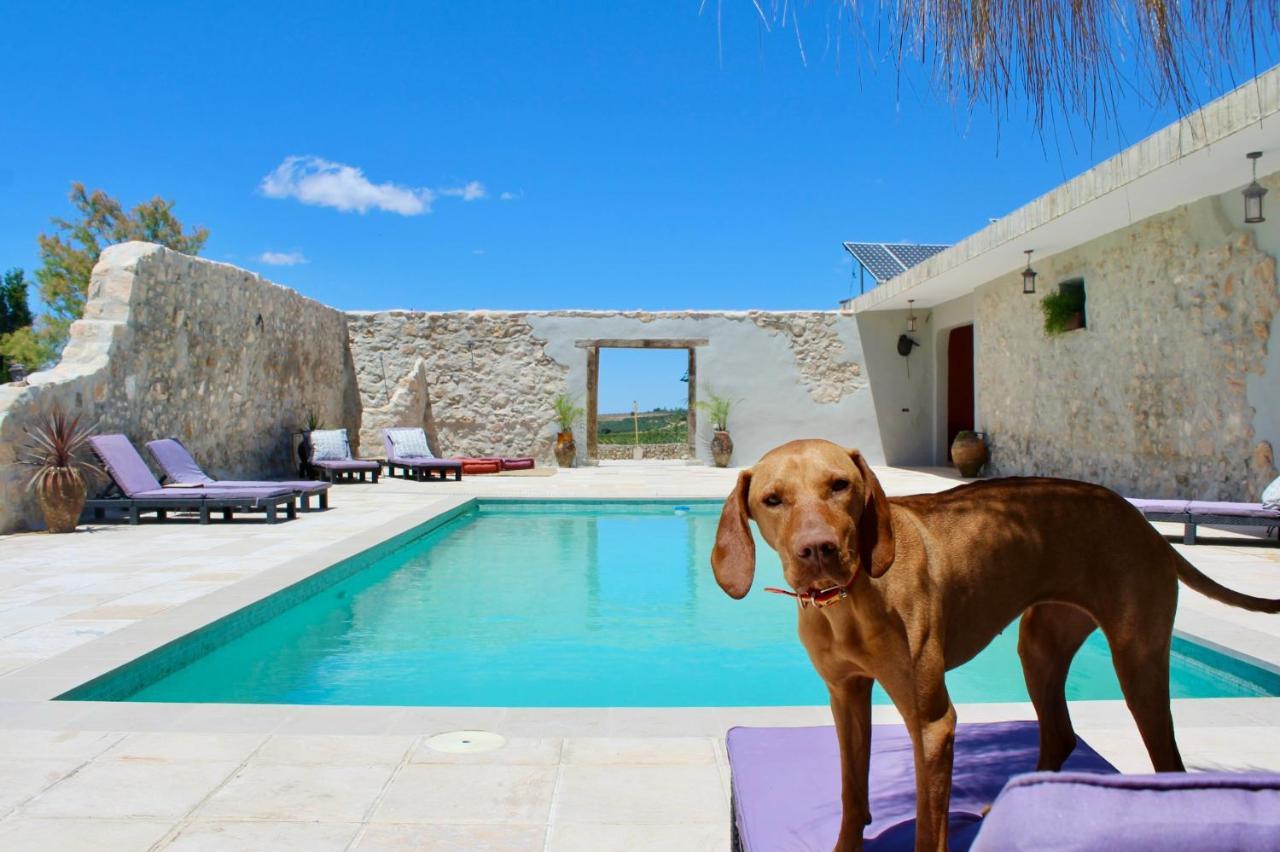 Room In Villa - Beautiful Accommodation At The Heart Of Andalusia Puente Genil Kültér fotó